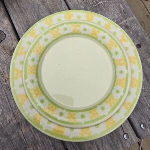 Vintage FRANCISCAN Earthenware Dinner & Salad Plate PICNIC Pattern